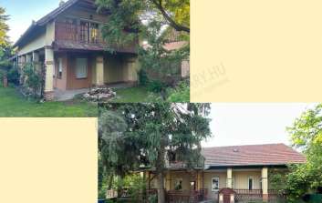 Diófa utca Diófa utca