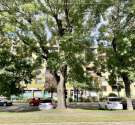 Kőbányai út-budapest_x_keruelet_kobanyai_ut389089_16.jpg