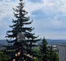 Iglói utca-budapest_xi_keruelet_igloi_utca533353_11.jpg