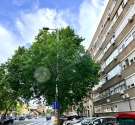 Váci út-budapest_xiii_keruelet_vaci_ut549639_1.jpg