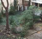Dohány utca-budapest_vii_keruelet_dohany_utca550271_8.jpg