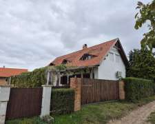 Róka sétány-lepseny_roka_setany493359_27.jpg