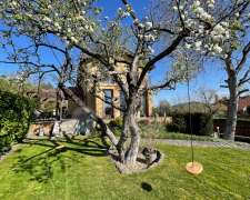Táncsics Mihály utca-budapest_ii_keruelet_tancsics_mihaly_utca409742_4.jpg