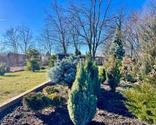 Tátika utca-toeroekbalint_tatika_utca453342_28.jpg