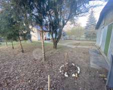 501. utca-budapest_xvii_keruelet_regivam_utca503294_13.jpg