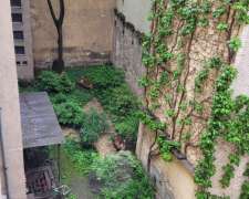 Múzeum körút-budapest_v_keruelet_muzeum_koerut522433_19.jpg