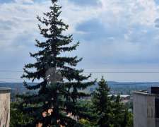 Iglói utca-budapest_xi_keruelet_igloi_utca533353_11.jpg