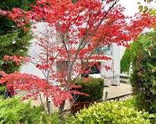 Gazdagréti út-budapest_xi_keruelet_gazdagreti_ut444832_25.jpg