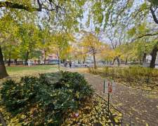 Berzenczey utca-budapest_ix_keruelet_berzenczey_utca545719_19.jpg