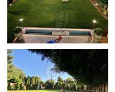 Jókai utca-budapest_ii_keruelet_jokai_utca545947_11.jpg