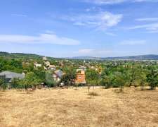 Csillagerdő utca-zsambek_csillagerdo_utca552403_4.jpg