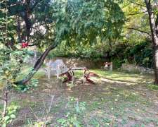 Ménesi út-budapest_xi_keruelet_menesi_ut494462_20.jpg